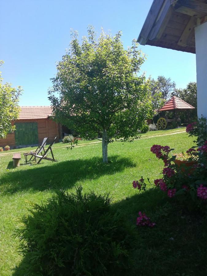Camp Viljamovka Apartment Kremna Exterior foto
