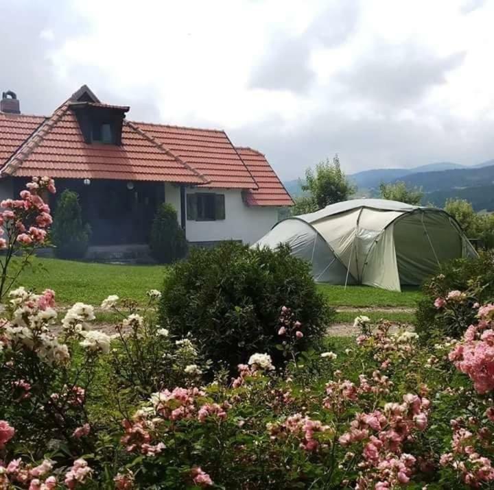 Camp Viljamovka Apartment Kremna Exterior foto